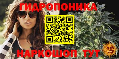 гидра Рыбинск
