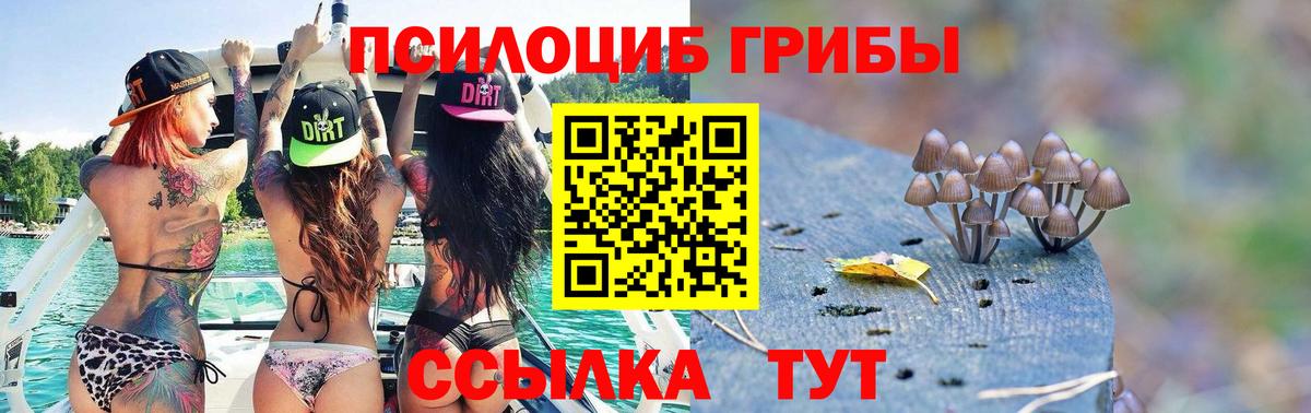 Псилоцибиновые грибы Magic Shrooms  купить  цена  Барабинск  Вход с VPN  Псилоцибиновые грибы ЛСД 