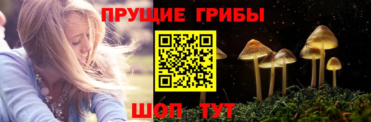 Галлюциногенные грибы MAGIC MUSHROOMS Барабинск